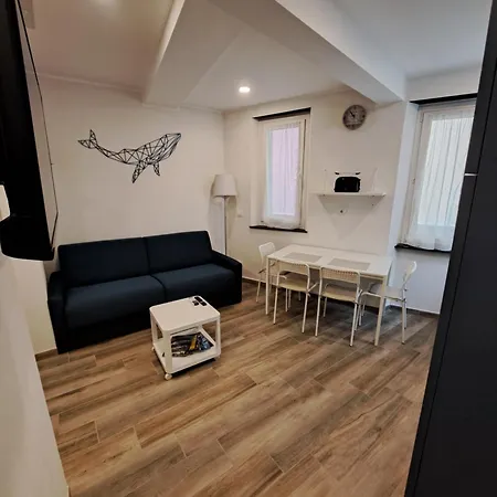 Dolphin House 펜션